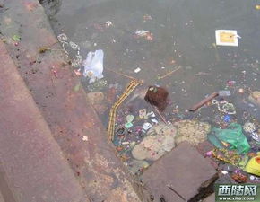 印度人太变态了 竟在浮尸遍布的恒河边洗漱吃喝