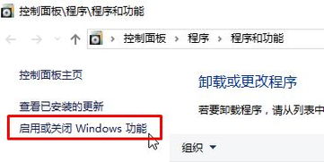 win10如何启用netfx3