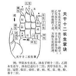 陈益峰 三合风水用十二长生立向