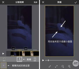 livephoto只有苹果有吗(live图只有iphone可以看吗)