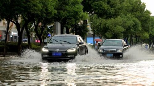 老司机分享雨季行车安全规范 下坡不要挂空挡