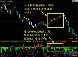 订购了同花顺level-2看不到bbd指标？