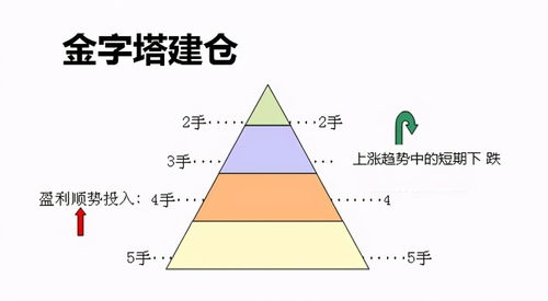 基金怎么看涨了多少钱碟了多少钱？？？