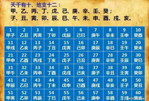 2023年三伏不一般,会热到哭吗 附 2023三伏时间表