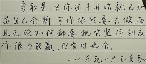 这样的钢笔字太漂亮了,硬笔书法作品分享,正能量的话赶紧收藏