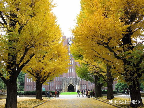 留学去日本需要什么条件