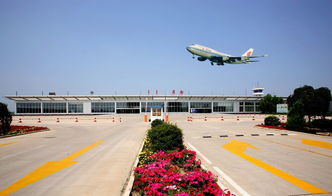 上海机场和西藏旅游这两只股票如何？