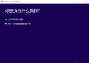 starter能在win10系统安装吗