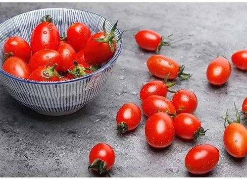 遇美康健康 大番茄 vs 小番茄,谁才是减肥小助手