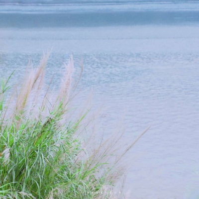 夏日唯美风景头像清爽有意境 漂亮的风景头像图片高清