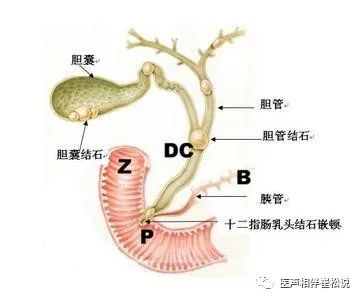 不想去医院,肚子痛要紧吗 四肢外伤要不要就诊