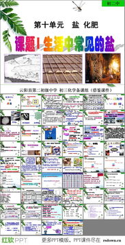 食盐的化学式,食盐的化学式是什么？(图2)