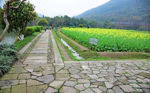 有 皇家藉田 之称的杭州八卦田,太极阴阳八卦丘田是什么含义