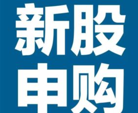 为什么申购新股显示可买数量为0