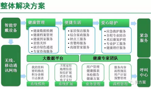 智慧养老 居家养老综合平台整体解决方案 ppt