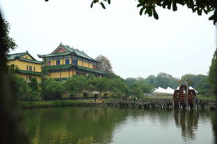 衢州江山三日游