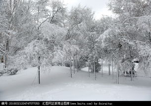 关于冬雪树挂的诗句