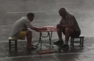 高手对决无惧风雨,两大爷暴雨中坚持下棋看呆路人 