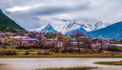 3月适合旅游的地方 不能出游的春天,我在脑子里把中国游览了1000遍