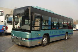天津市公交线路(天津公交线路是怎么排的)