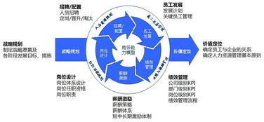 有在大公司或上市公司做人力资源管理工作的人吗，人力资源管理都做什么