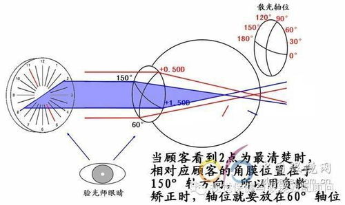 垂直的词语解释,横向纵向水平垂直区分？