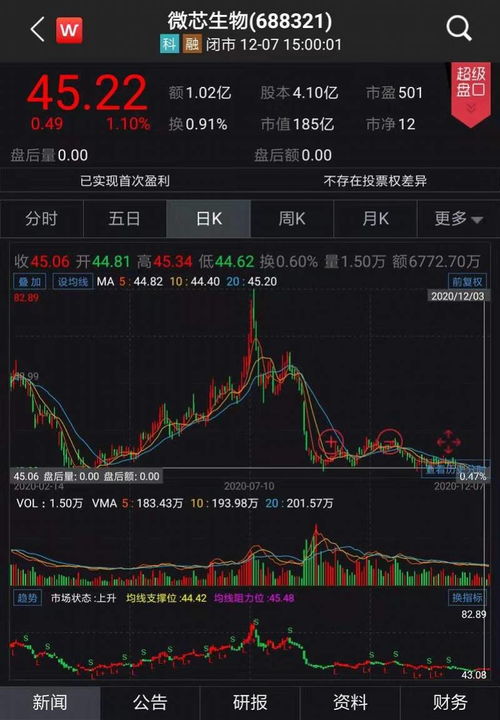 英伟达：年内股价激增180%，市盈率超过210倍，是否过高？