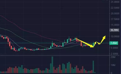 bch未来会上涨到10万美金