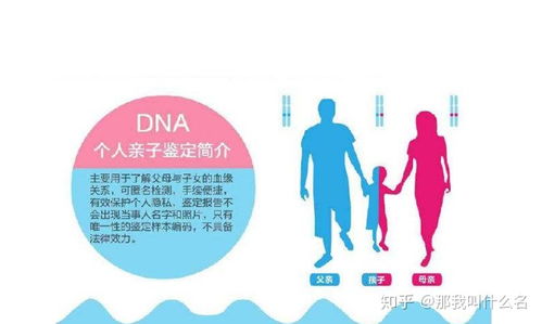 dna鉴定费用 需要什么手续和多少费用