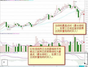 131810卖出挂的价格没有成交，收盘后资金没有回来，请问什么时候回来？