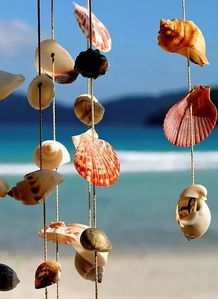 贝壳风铃 用心聆听 海 的声音