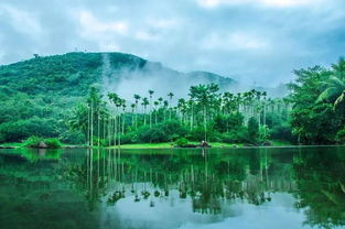 走进大三亚旅游经济圈的神秘雨林国界,还你一个冒险梦