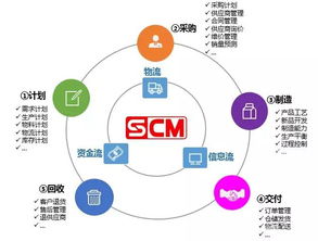 请分析在现在的市场竞争环境下企业如何进行供应链管理