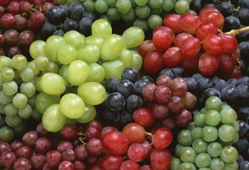 葡萄的热量是多少 吃葡萄可以减肥吗 