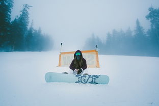 雪贫，诠释人生百态的成语智慧，雪平什么意思