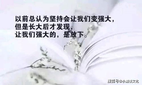 强大的名言-形容微小但其力量强大的句子？