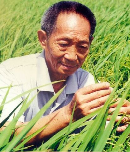 泪别袁隆平 雕像下围成花海,长沙市菊花被买空,鸣笛声响彻天际