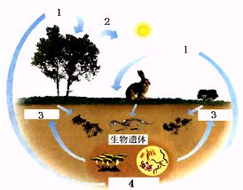 有关于物质循环的诗句