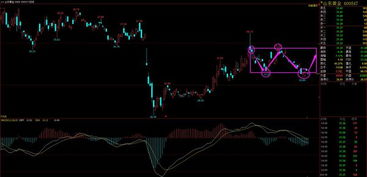 我想买山东黄金股票可以吗？