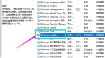 win10中断电脑自动更新