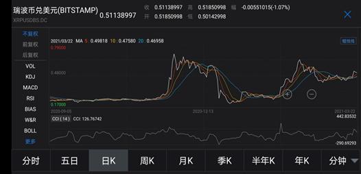 瑞波币是不是骗局_瑞波币能到100一个