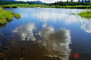 天河水命是什么意思