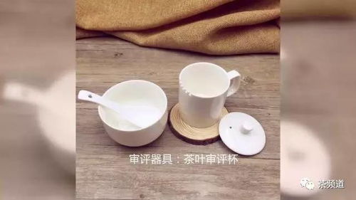 本周茶品评鉴报告 云上 云脉千两茶饼内质审评 