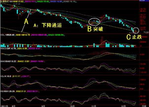 求帮助：怎么写一只股票的分析报告，求高人指导指导