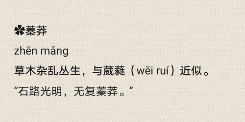 社会清朗的解释词语,形容空气清新的词语？