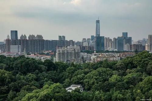 武汉城市圈有哪些城市 经济联系及其核心圈建设