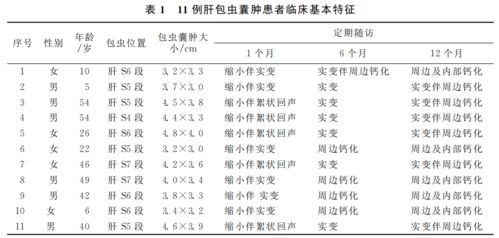 求教知网查重系统的参考文献识别问题