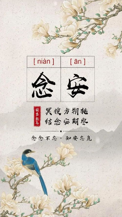 宝宝起名 全校女生都羡慕的好名字