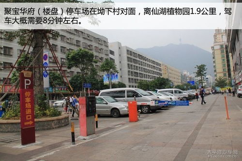 春节期间石家庄这些地方免费停车(石家庄华府园停车场免费吗)