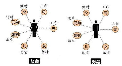 八字命理 夫妻宫的婚姻吉凶组合 张念 配偶星 日柱 网易订阅 